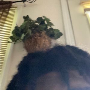 Meet your Posher, Raymond